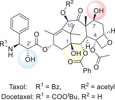 Targeting Strategies for Enhancing Paclitaxel Specificity in Chemotherapy